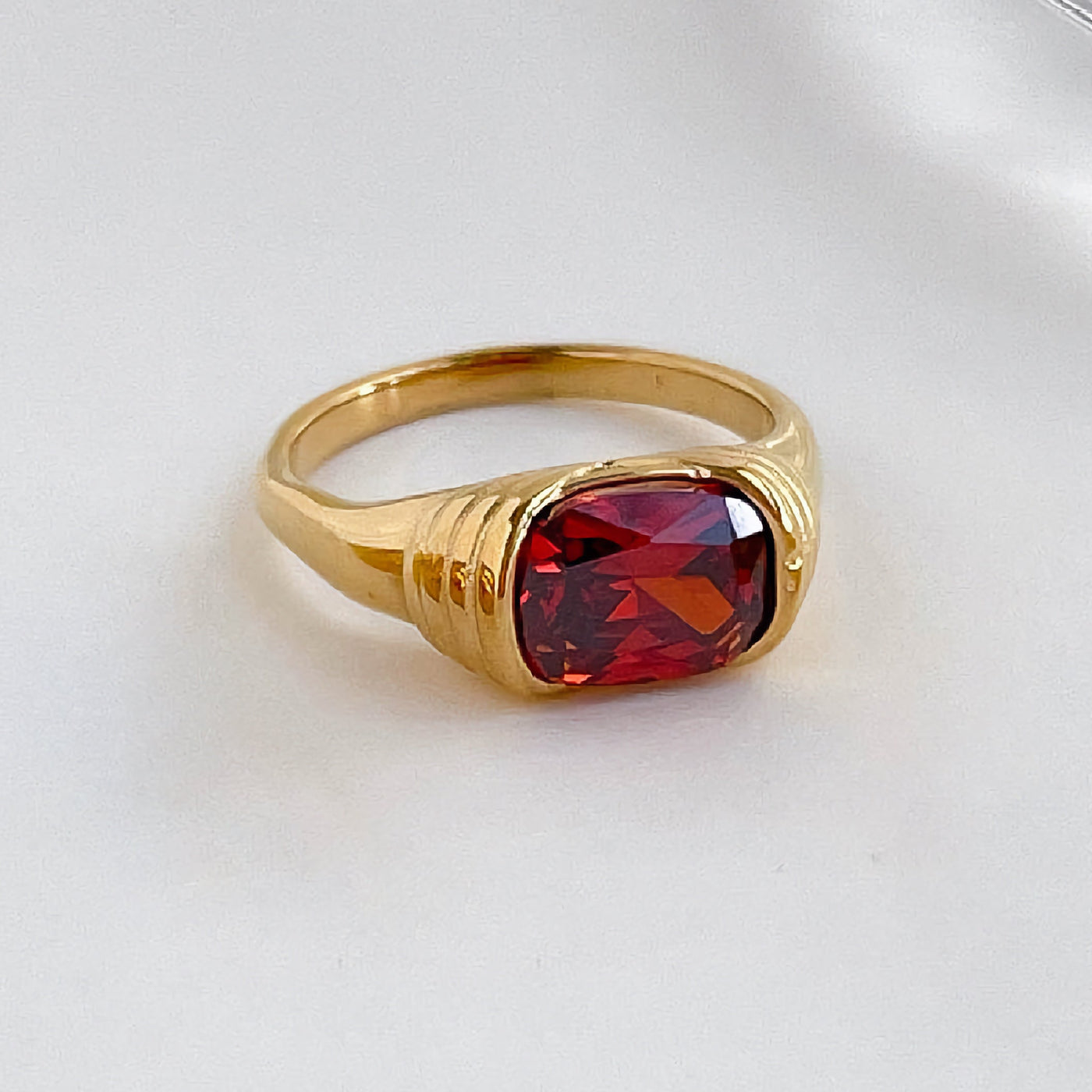 Arv Ring in Karmijnkleur | 18k Goud