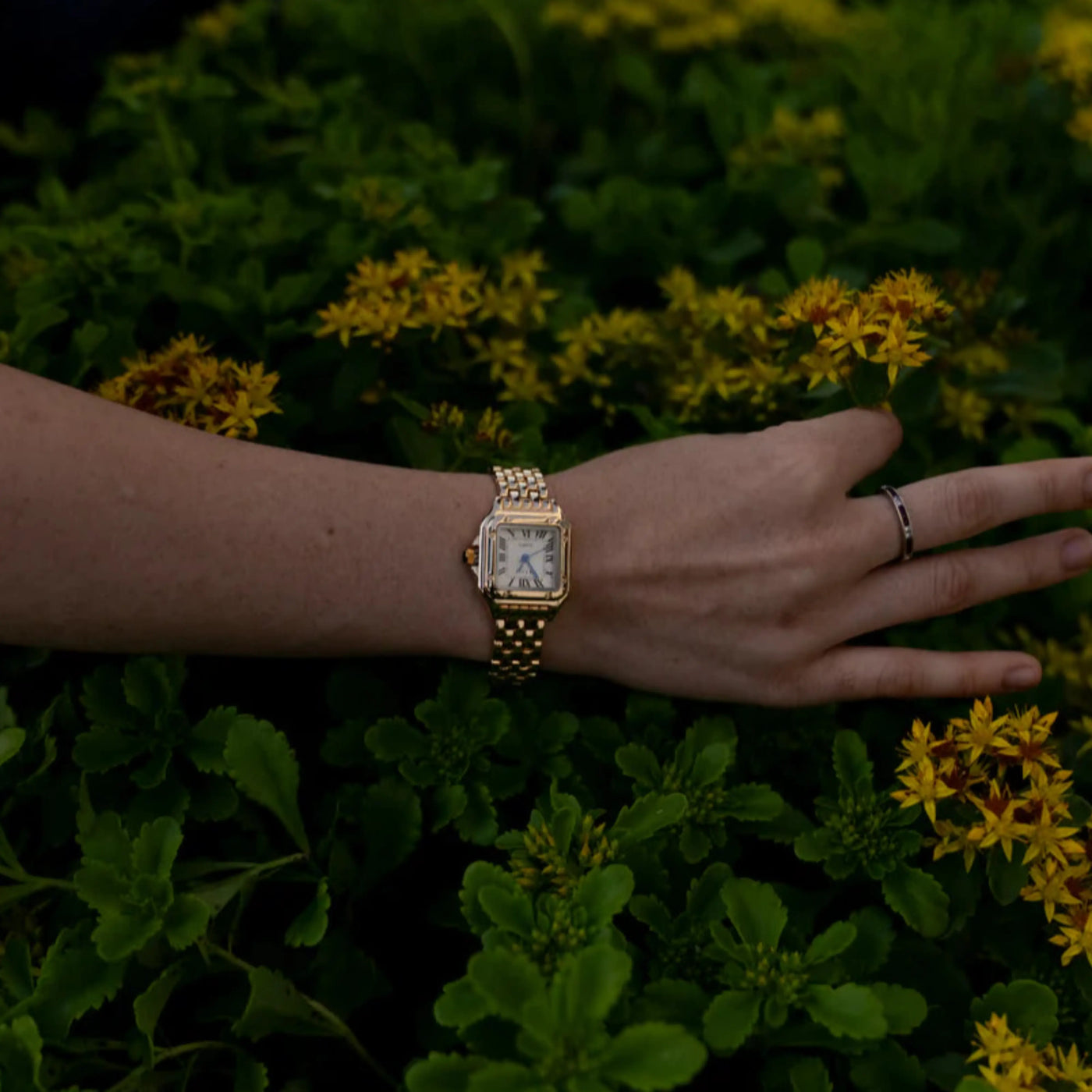 van Wennink© - Calista | 14K Goud