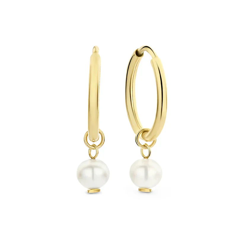 Delia Crest Oorbellen | 14k Goud