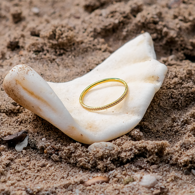 Zarra Paved Ring | 18k Goud